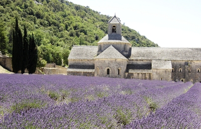 塞農克修道院（Abbaye de Senanque）